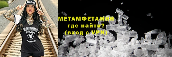прущие грибы Михайловск