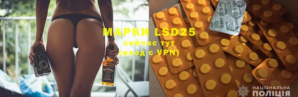 прущие грибы Михайловск