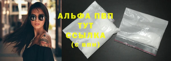 прущие грибы Михайловск