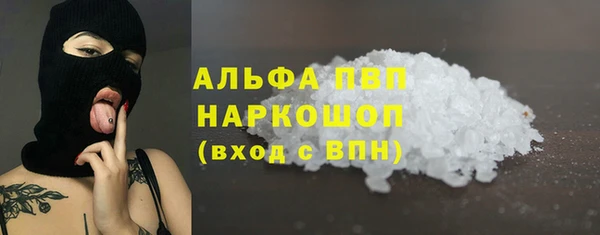 прущие грибы Михайловск