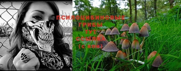 дживик Михайлов