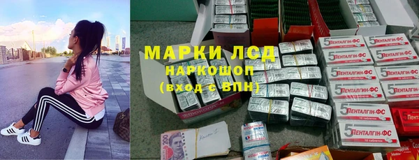 прущие грибы Михайловск