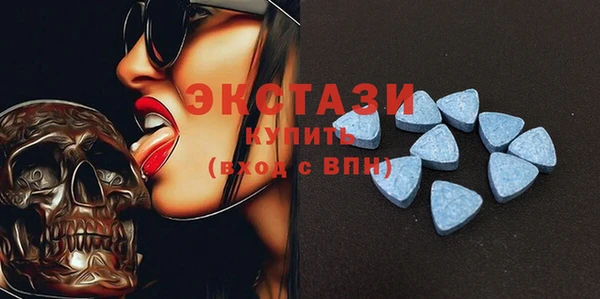 ECSTASY Горняк