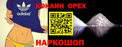 стаф Гатчина