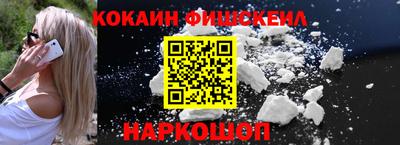 стаф Гатчина
