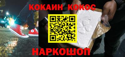 стаф Гатчина