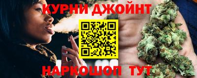 стаф Гатчина