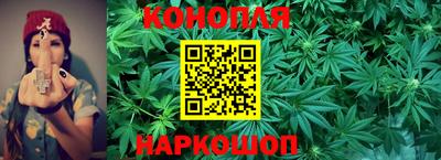 гидра Гай