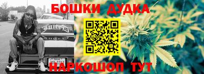 гидра Гай