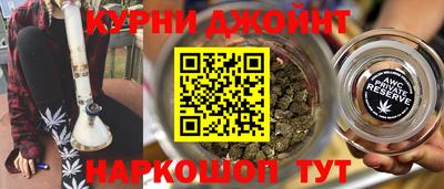 стаф Гатчина