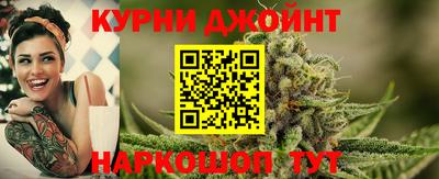 гидра Гай