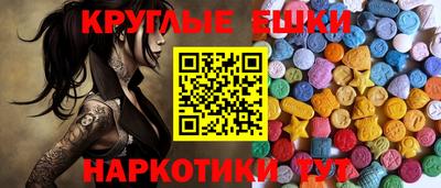 стаф Гатчина