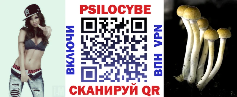 как найти   Егорьевск  мега ссылка  Псилоцибиновые грибы Psilocybe 