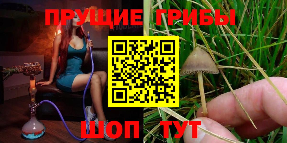 Псилоцибиновые грибы Cubensis  Псилоцибиновые грибы Psilocybine cubensis  Егорьевск 