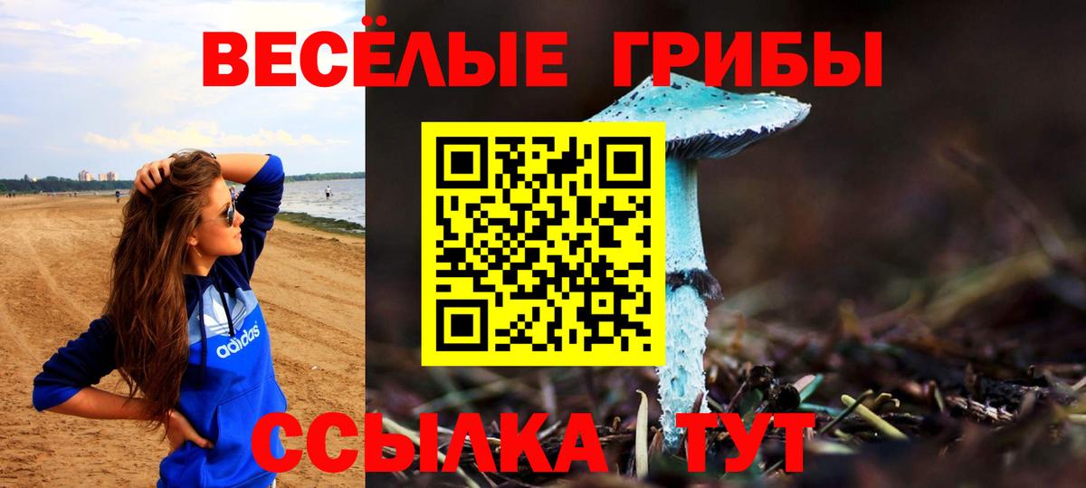 Псилоцибиновые грибы ЛСД Егорьевск