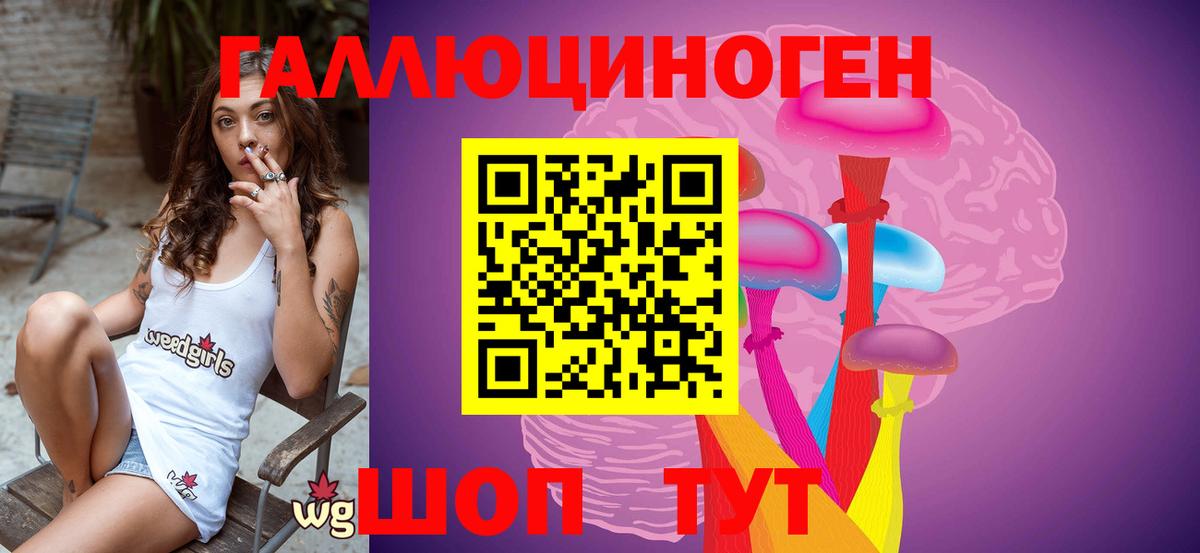 Галлюциногенные грибы Psilocybine cubensis Егорьевск