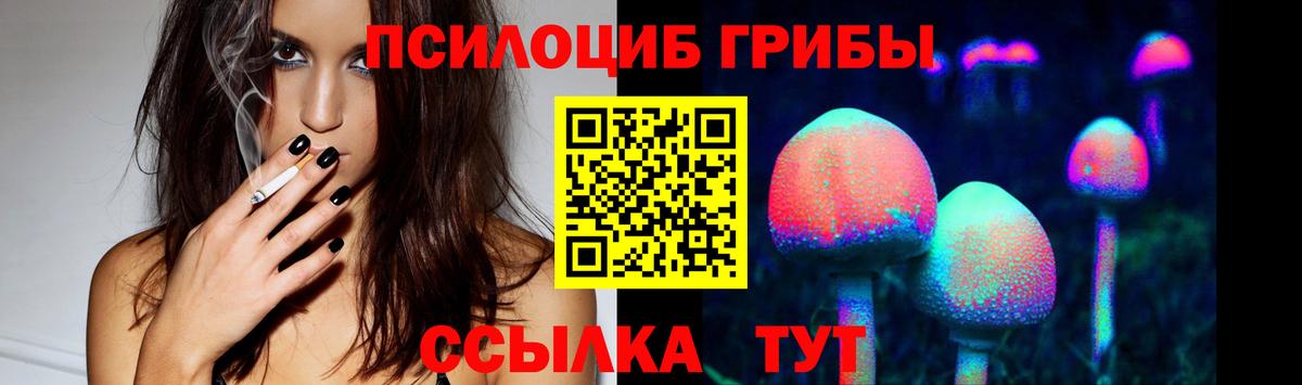 Галлюциногенные грибы прущие грибы  Вход с VPN  Егорьевск 